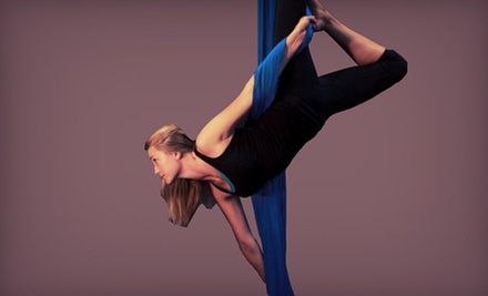 Aerial Silks Classes Dc