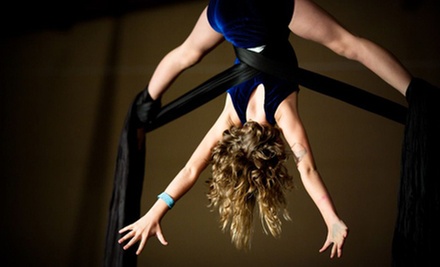 Aerial Silks Classes Miami