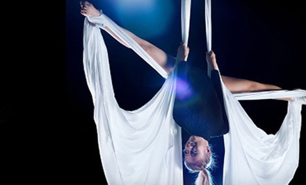 Aerial Silks Classes Phoenix