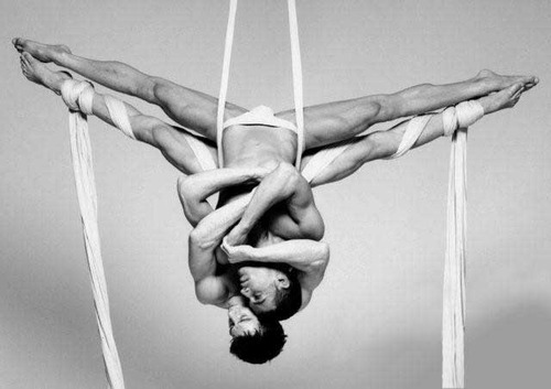 Aerial Silks Moves