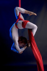 Aerial Silks Moves