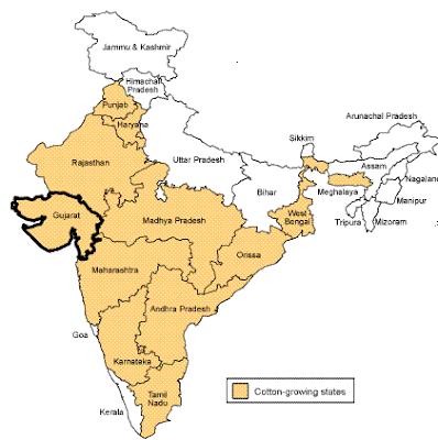 Agro Based Industries In India