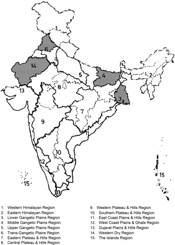 Agro Based Industries In India Ppt