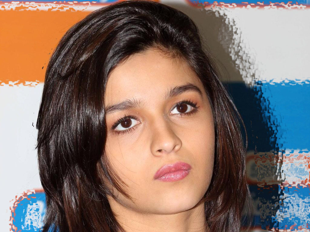 Alia Bhatt Bikini Wallpaper Hd