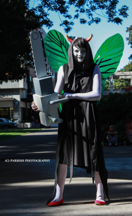 Amazing Homestuck Cosplay