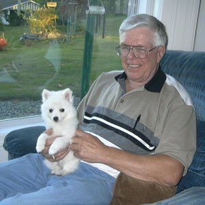 American Eskimo Dog Miniature