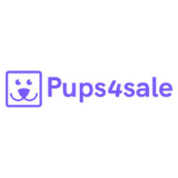 American Staffy Puppies For Sale Australia