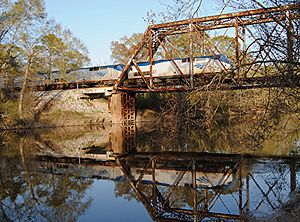 Amtrak Maple Leaf Review