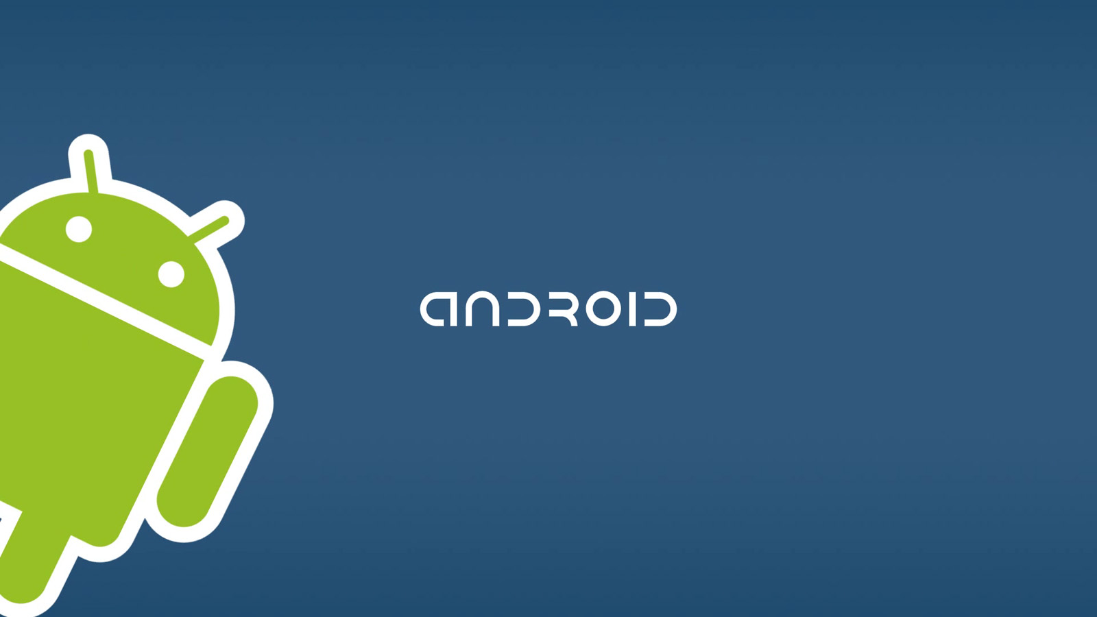 Android Developer Wallpaper