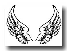 Angel Wings Drawing