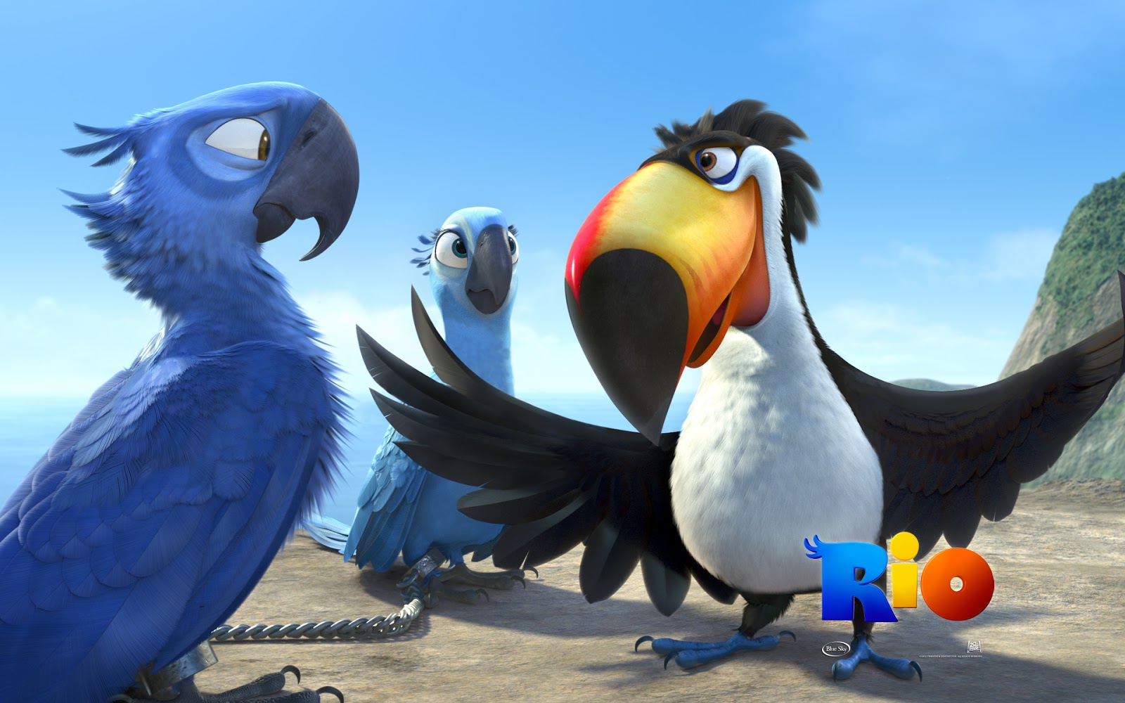 Angry Birds Images Hd