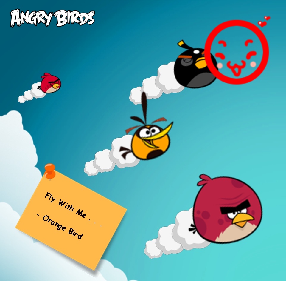 Angry Birds Space Orange Bird