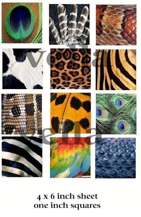 Animal Patterns In Art