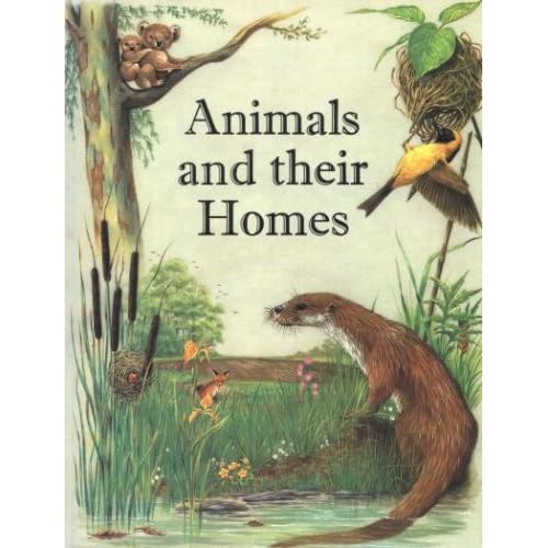 Animals And Their Homes