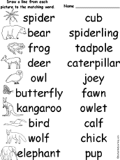 Animals And Their Homes Names