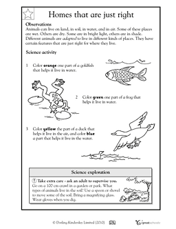 Animals And Their Homes Pictures Worksheets