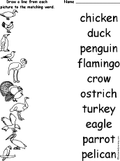 Animals And Their Homes Printable Worksheets