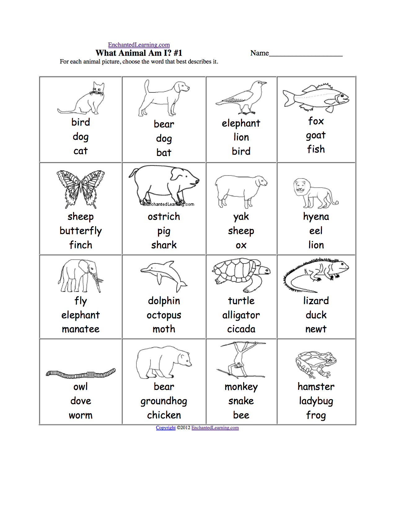 Animals And Their Homes Printable Worksheets