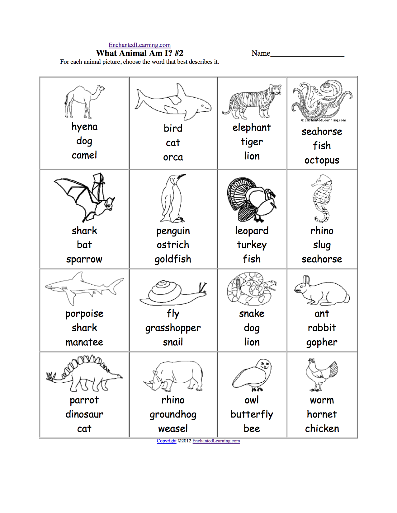 Animals And Their Homes Worksheets