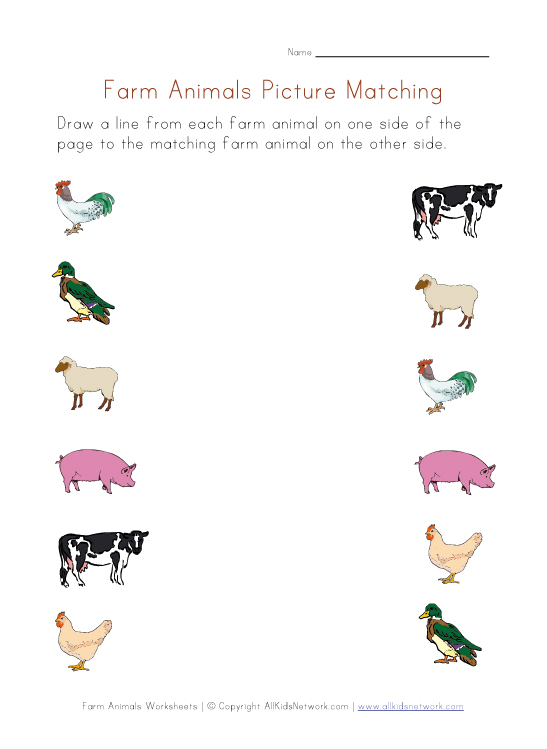 Animals And Their Homes Worksheets