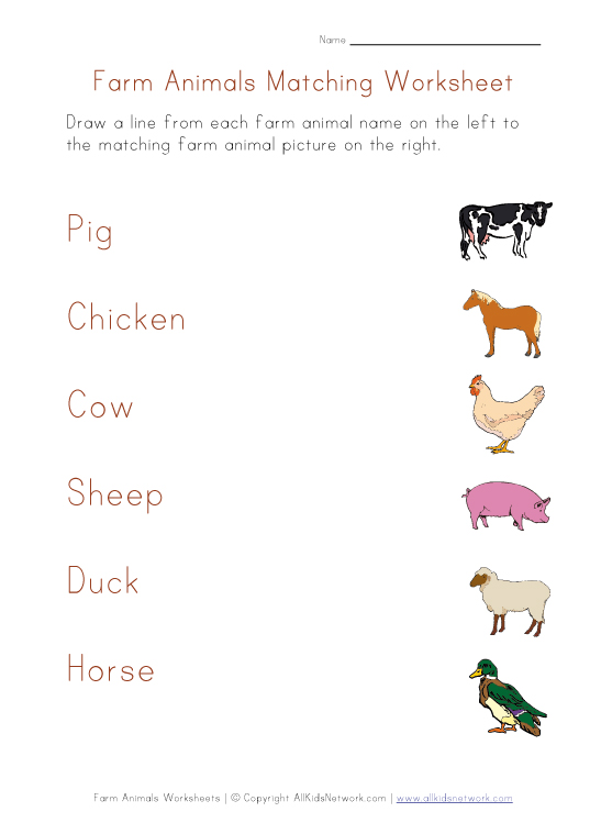 Animals And Their Homes Worksheets