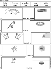 Animals And Their Homes Worksheets For Kids