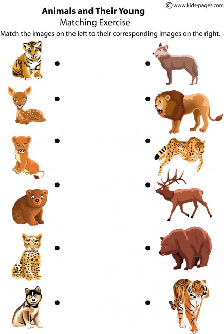 Animals And Their Homes Worksheets For Kids