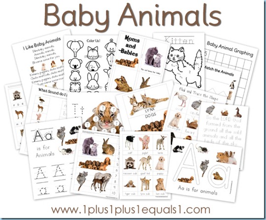 Animals And Their Homes Worksheets For Kindergarten