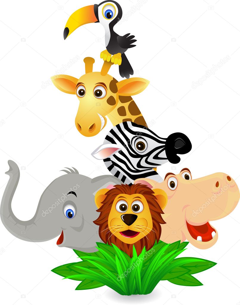 Animals Cartoon Pictures