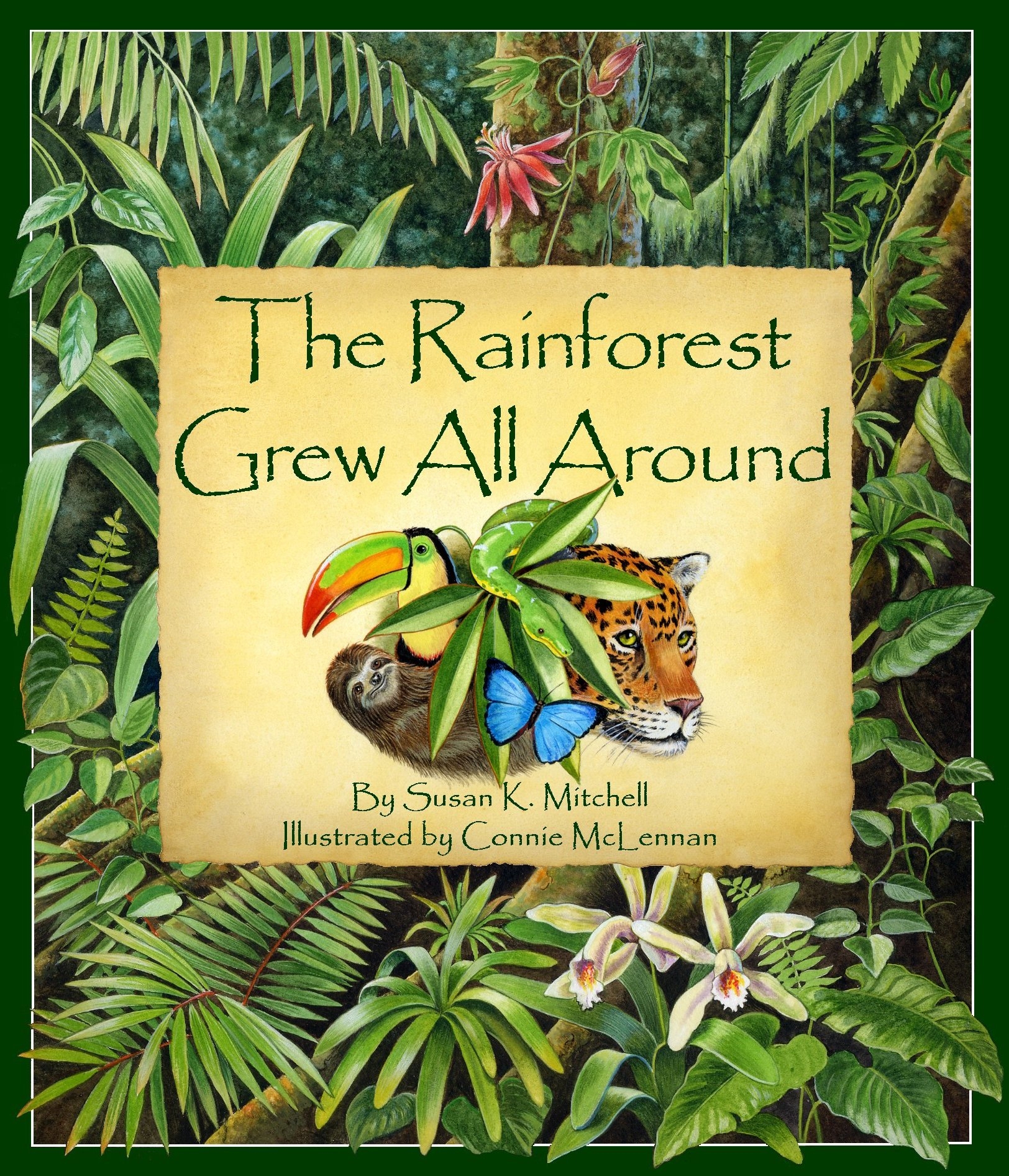 Animals In The Rainforest