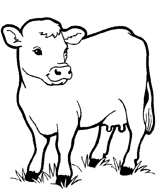 Animals Pictures For Colouring