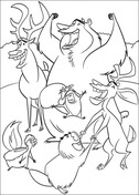 Animals Pictures For Colouring