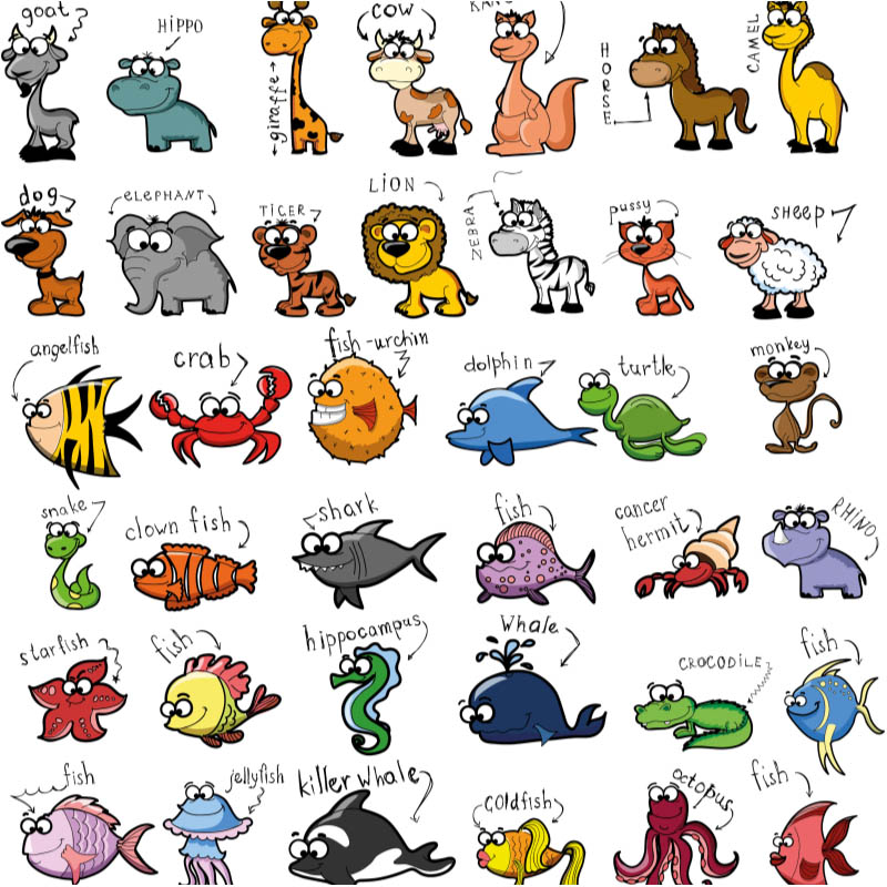 Animals Pictures For Kids With Name