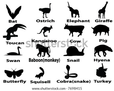 Animals Pictures With Names