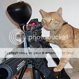 Animals With Guns Pictures