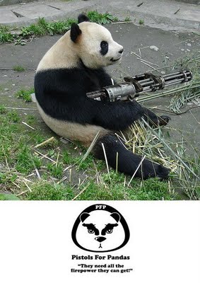 Animals With Guns Shooting