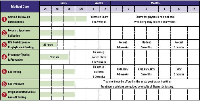 Appendix Diagram Human Body