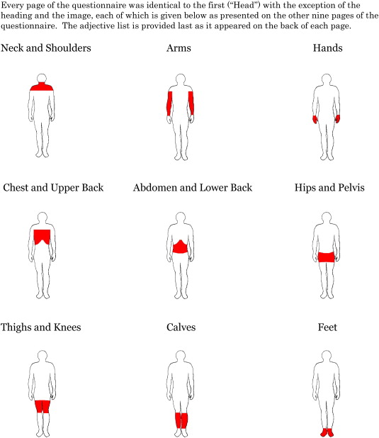 Appendix Pain Location And Symptoms