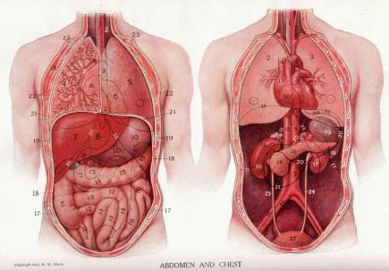 Appendix Pain Location And Symptoms