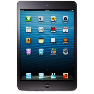 Apple Ipad Mini