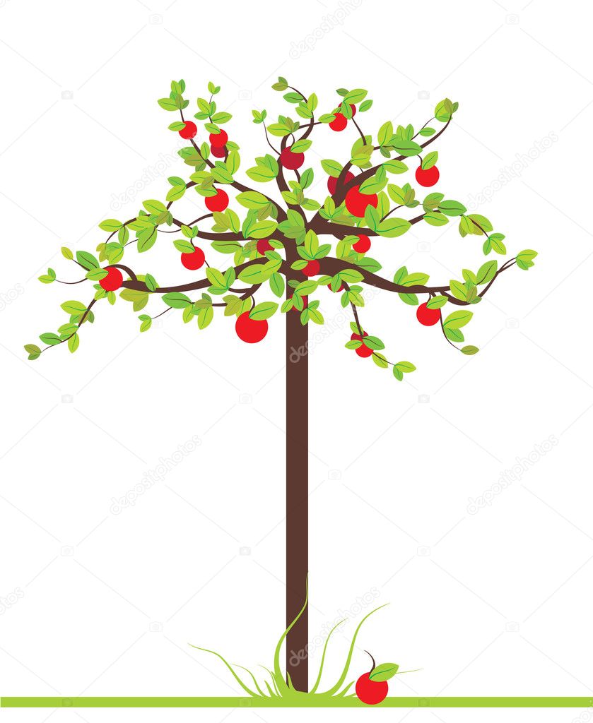 Apple Tree