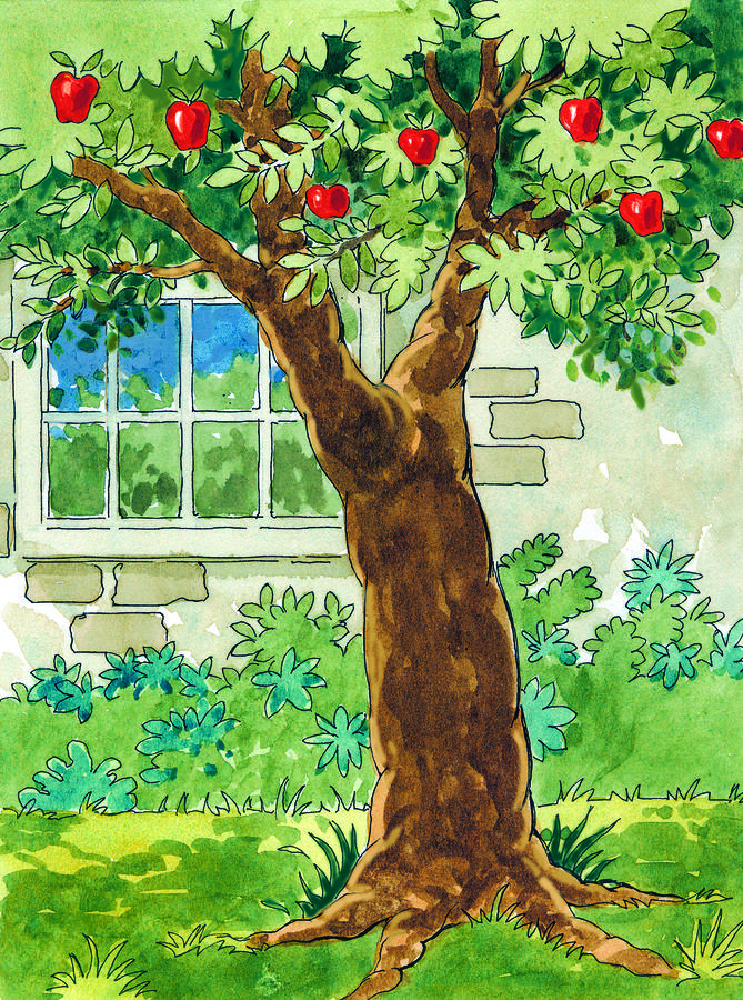 Apple Tree Art