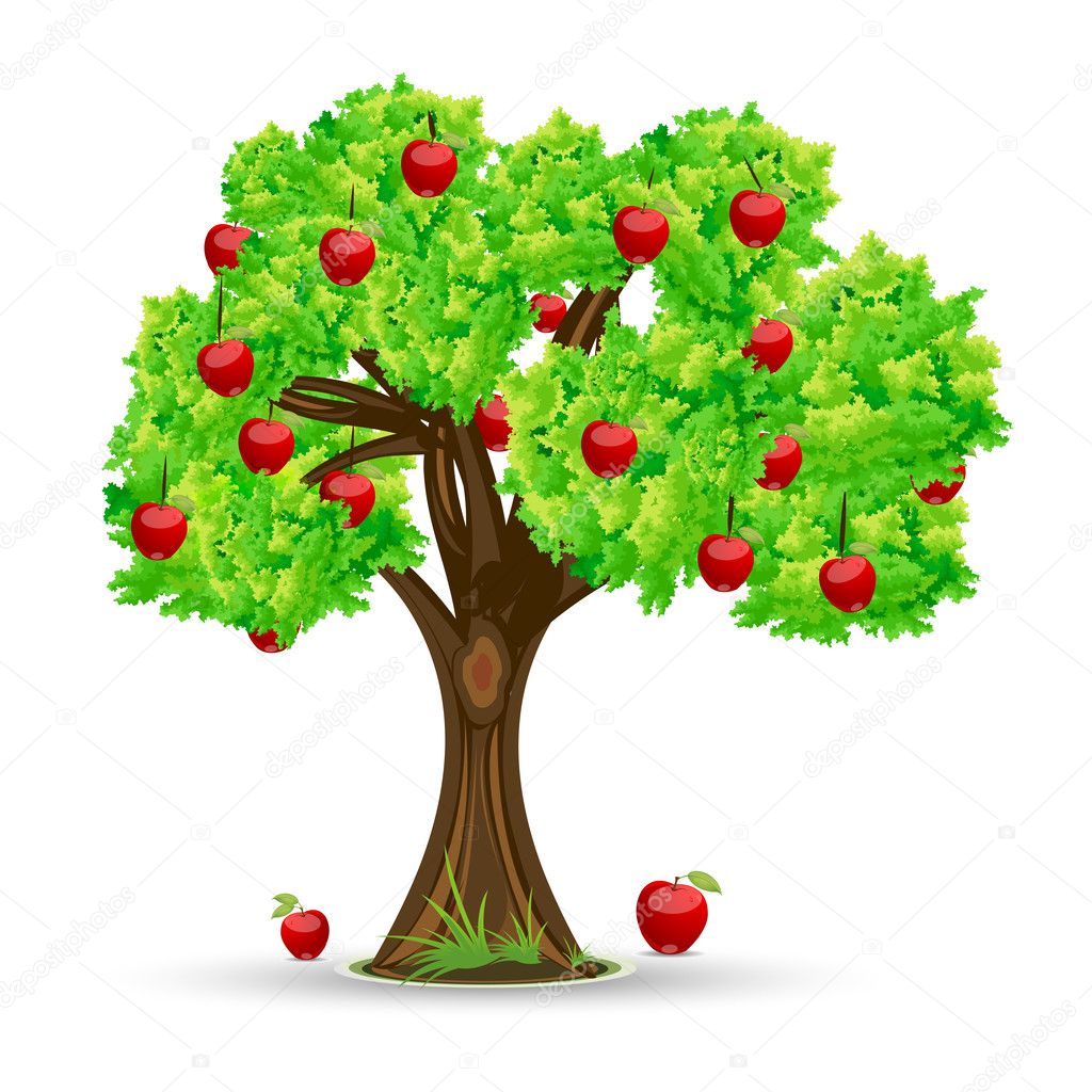 Apple Tree Images