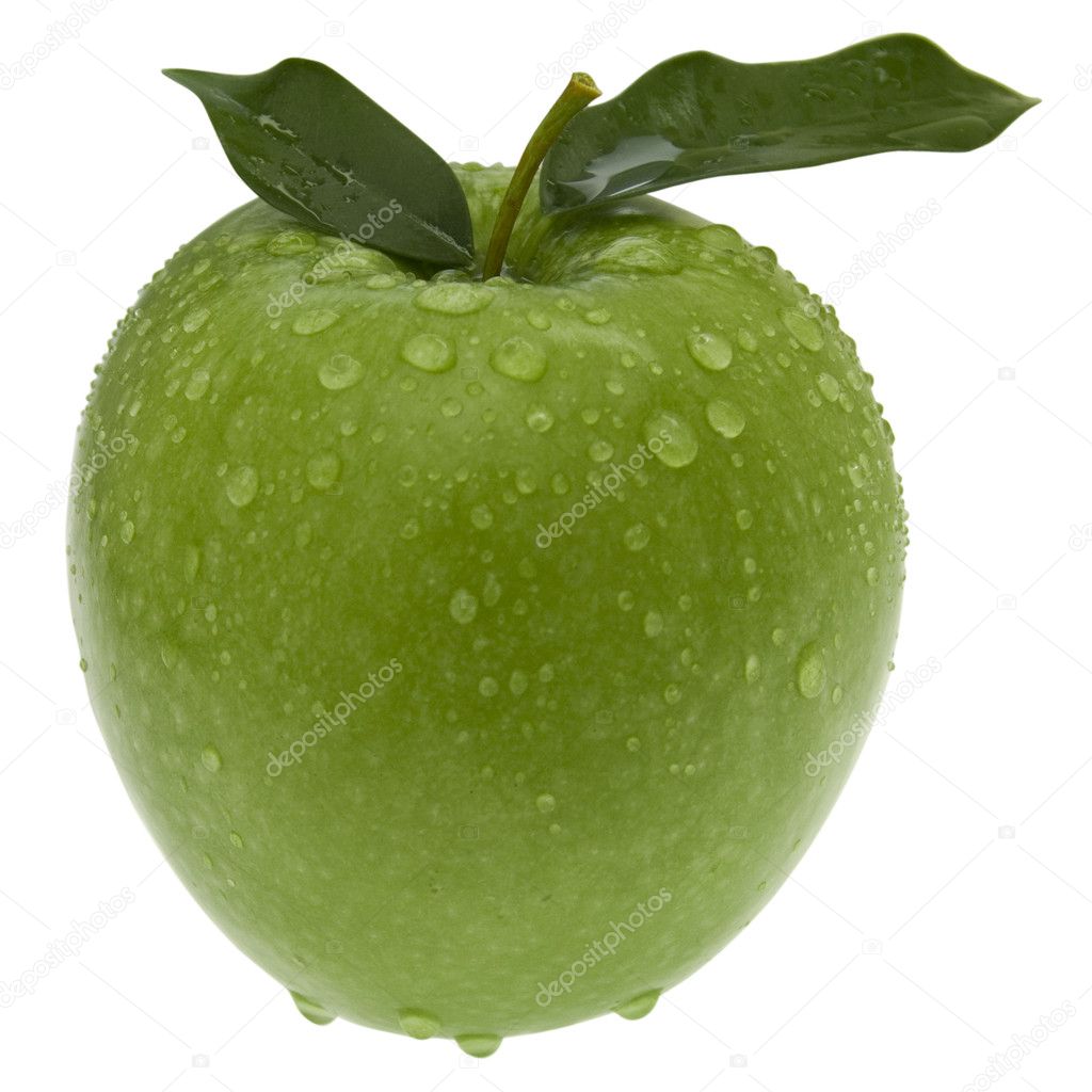 Apple Tree Leaf Characteristics