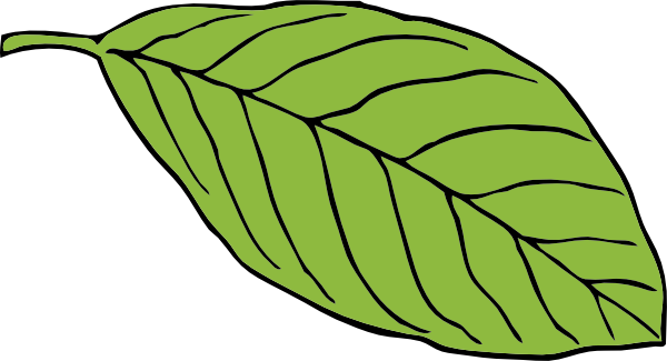 Apple Tree Leaf Template