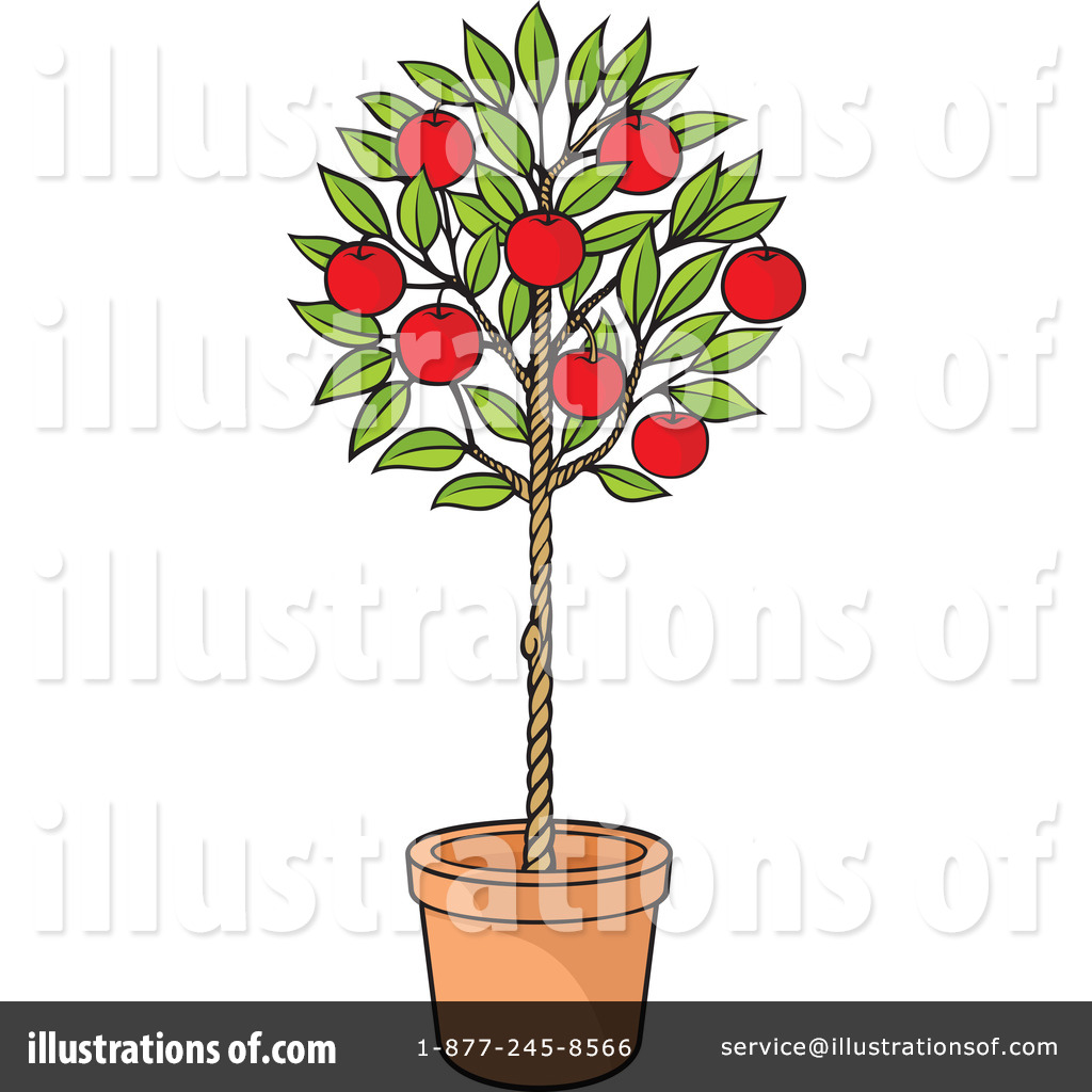 Apple Tree Pictures Free