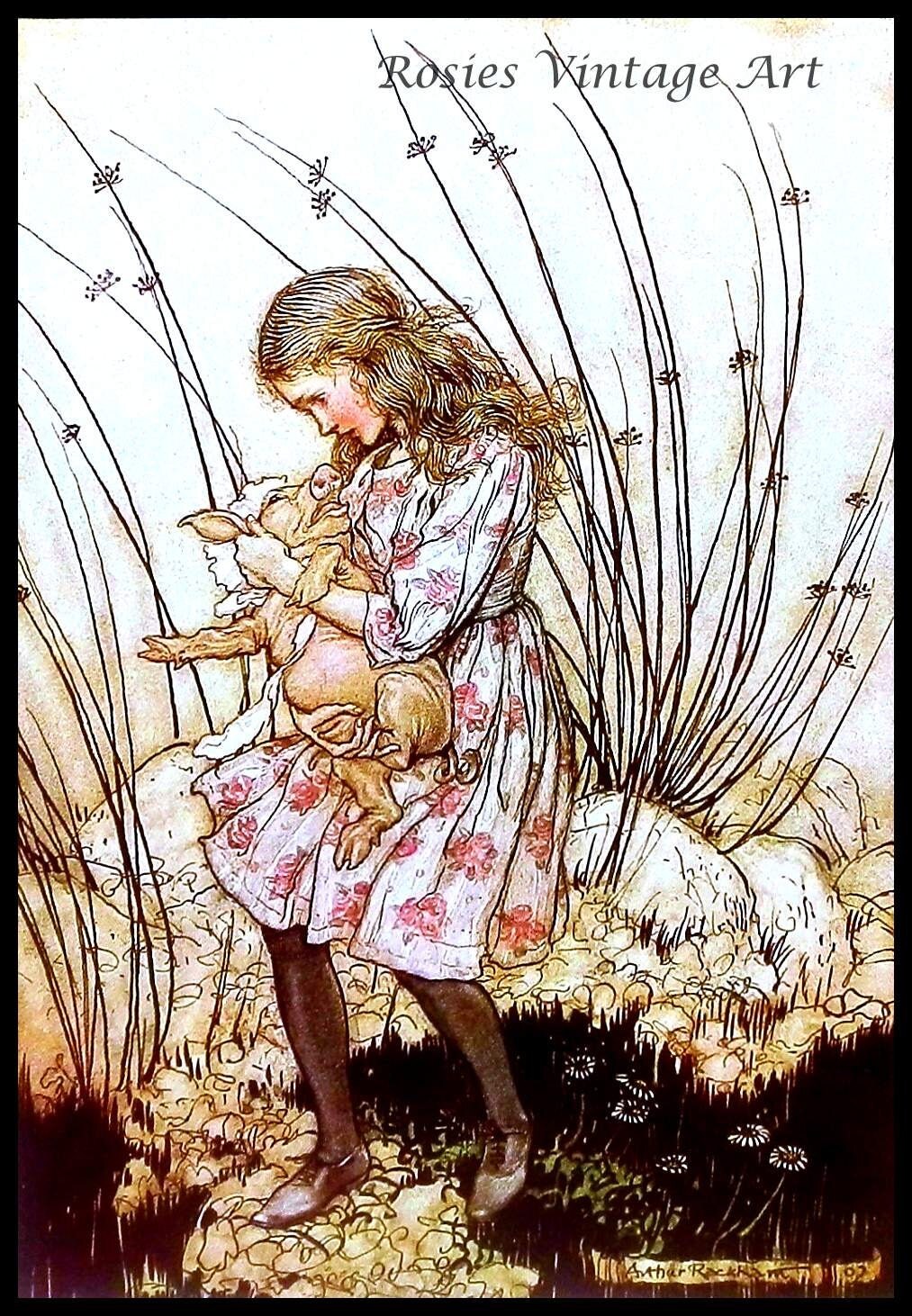 Arthur Rackham Alice In Wonderland