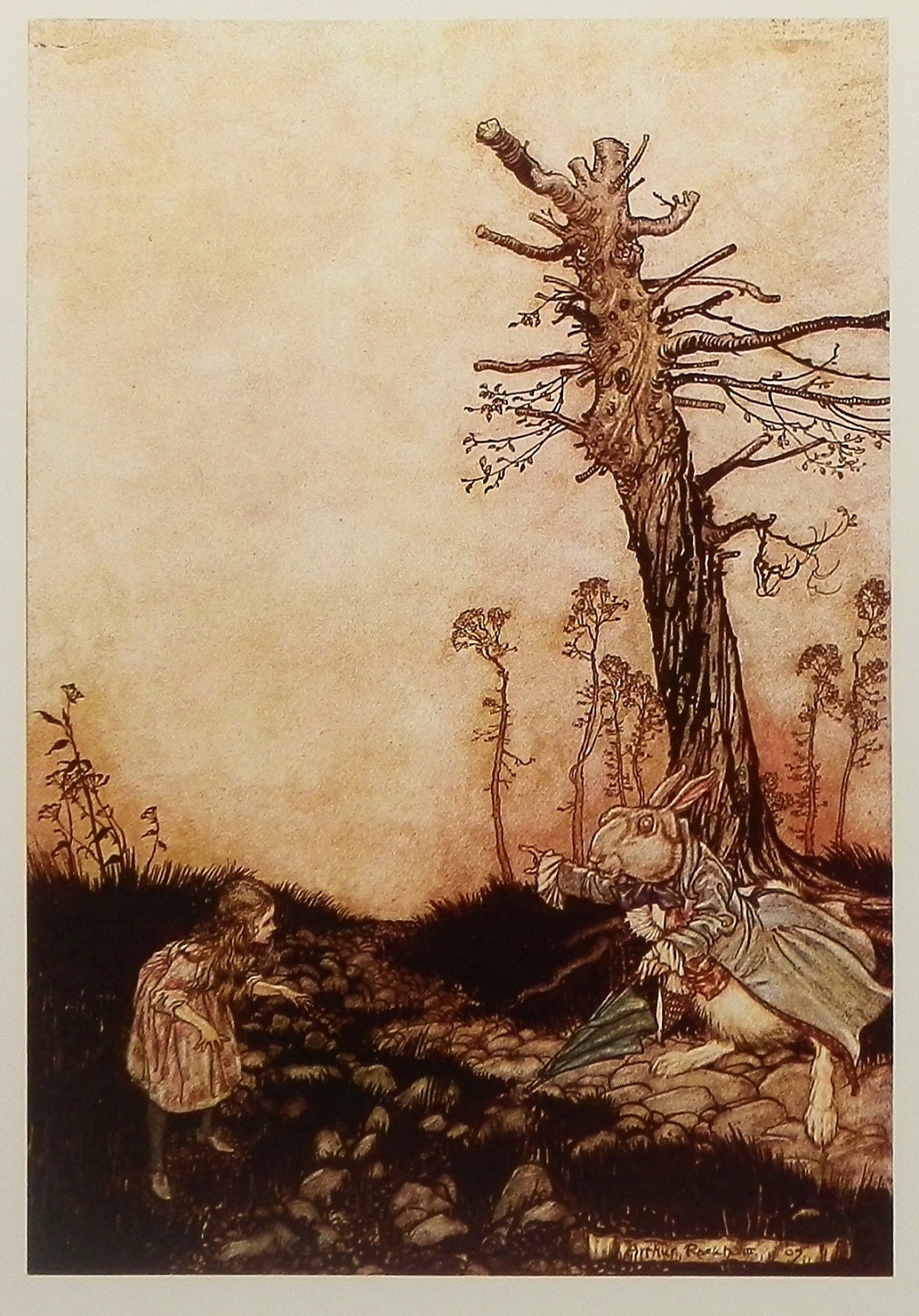 Arthur Rackham Alice In Wonderland