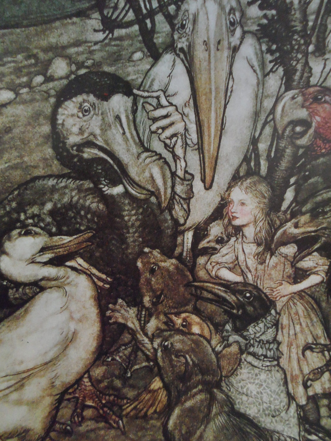 Arthur Rackham Alice In Wonderland Illustrations