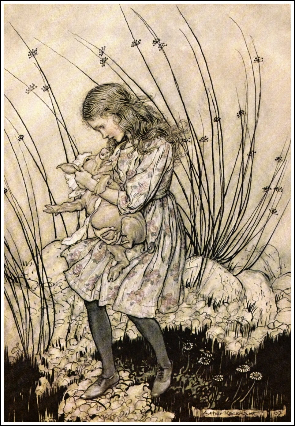 Arthur Rackham Alice In Wonderland Prints